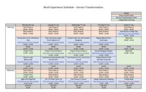 Timetable detailing session planned for work experience student